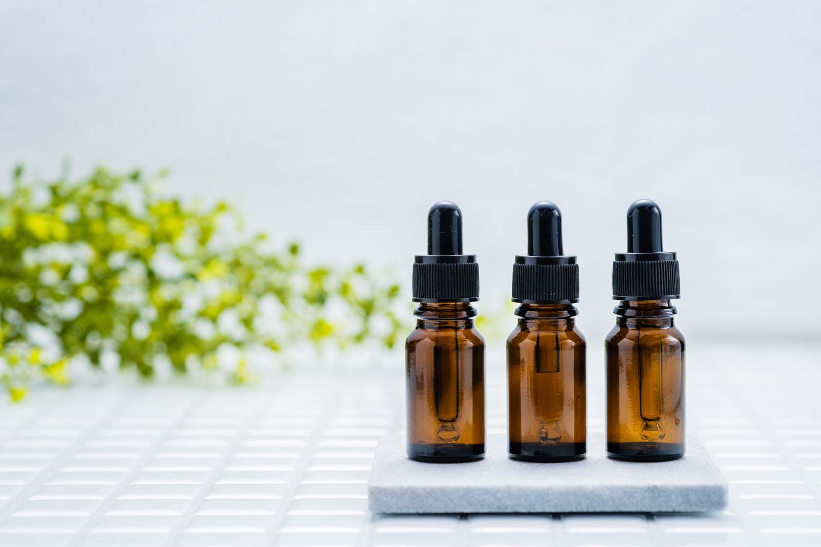 ダミー商品Aの2枚目画像